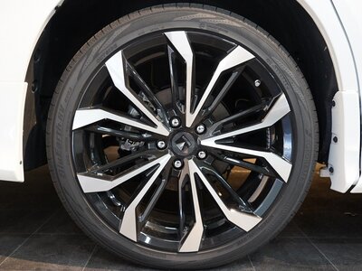 2023 Toyota ALPHARD 照片 20