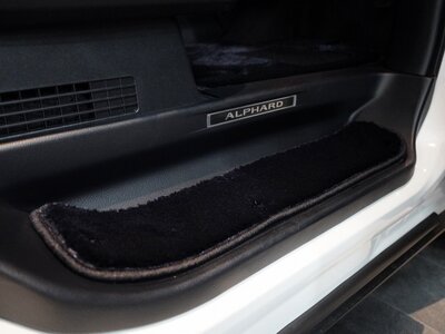 2023 Toyota ALPHARD 照片 44