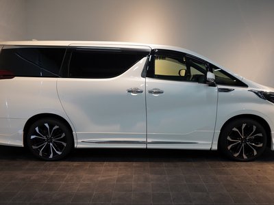 2023 Toyota ALPHARD 照片 11