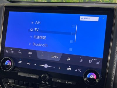2024 Toyota ALPHARD 照片 27