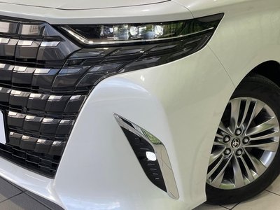 2024 Toyota ALPHARD 照片 13