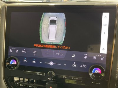 2024 Toyota ALPHARD 照片 28