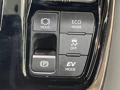 2024 Toyota ALPHARD 照片 49