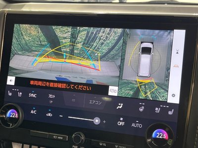 2024 Toyota ALPHARD 照片 6