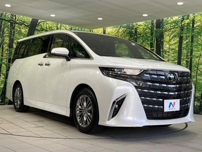 2024 Toyota ALPHARD 照片 17
