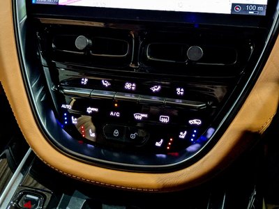 2021 Aston Martin DBX 缩略图 34