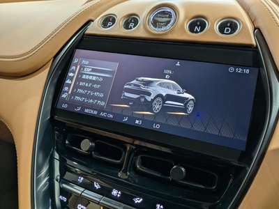 2021 Aston Martin DBX 缩略图 29