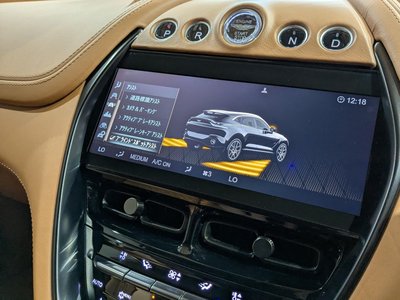 2021 Aston Martin DBX 缩略图 30