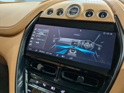 2021 Aston Martin DBX 缩略图 28