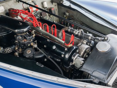 1947 ALFA Romeo ALFA ROMEO 照片 15