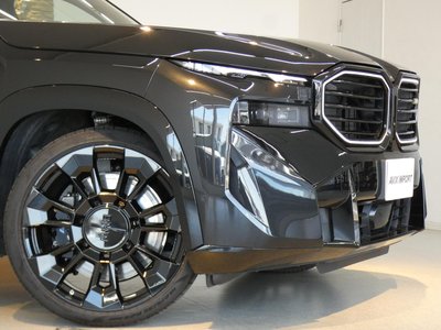 2024 BMW XM photo 10