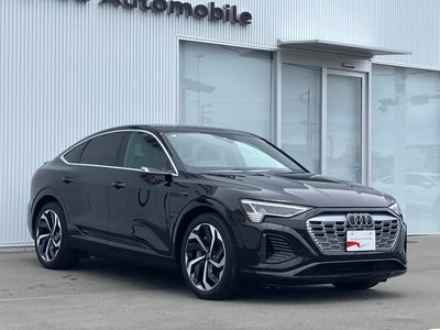 2024 AUDI Q8 SPORTBACK E-TRON thumbnail 44