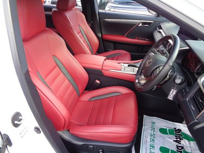2019 Lexus RX 照片 26