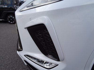 2019 Lexus RX 照片 41