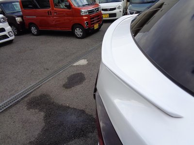 2019 Lexus RX 照片 47