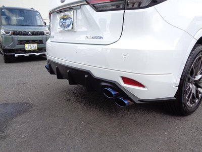 2019 Lexus RX 照片 45