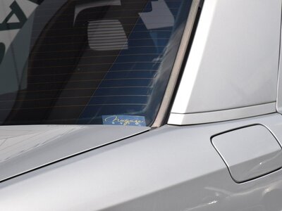 1994 Mercedes-BENZ E-CLASS AMG 缩略图 21