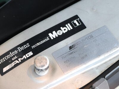 1994 Mercedes-BENZ E-CLASS AMG 缩略图 35