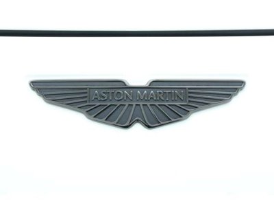 صورة 10 لـ 2025 Aston Martin DBX
