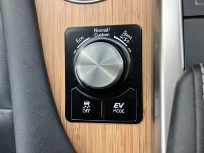 2019 Lexus RX thumbnail 39