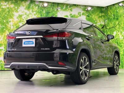 2019 Lexus RX photo 6