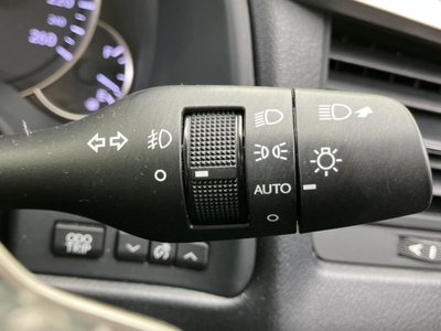 2019 Lexus RX thumbnail 17