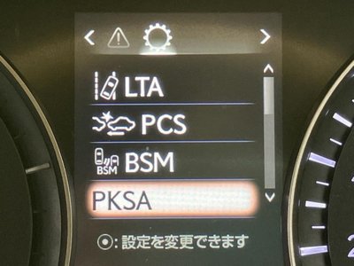 2019 Lexus RX thumbnail 43