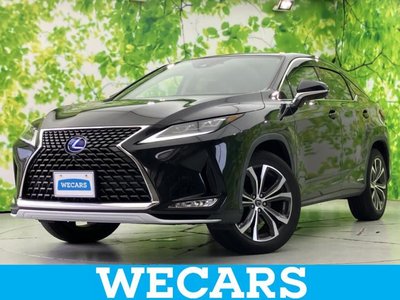 2019 Lexus RX photo 1