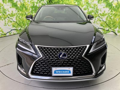 2019 Lexus RX thumbnail 46