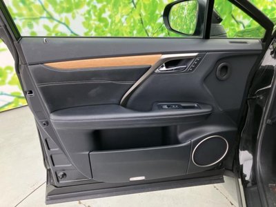 2019 Lexus RX thumbnail 23