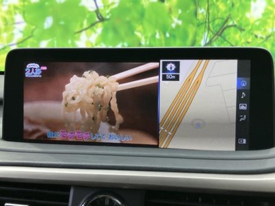2019 Lexus RX photo 12
