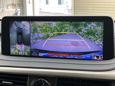 2019 Lexus RX photo 13