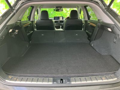 2019 Lexus RX thumbnail 21