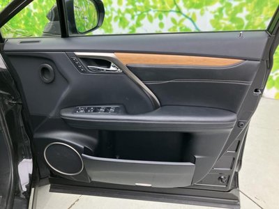 2019 Lexus RX thumbnail 22
