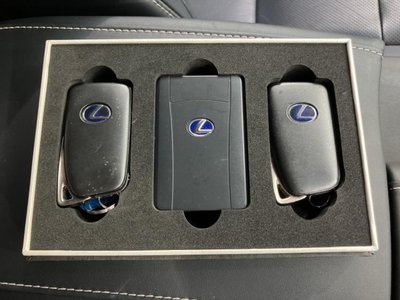 2019 Lexus RX thumbnail 37
