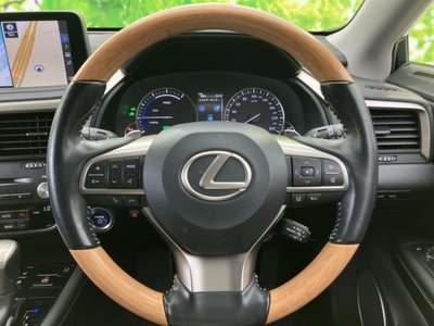 2019 Lexus RX photo 15