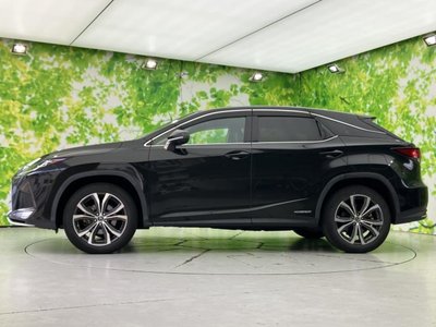 2019 Lexus RX photo 5
