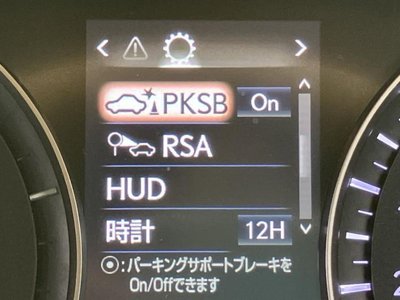 2019 Lexus RX thumbnail 44