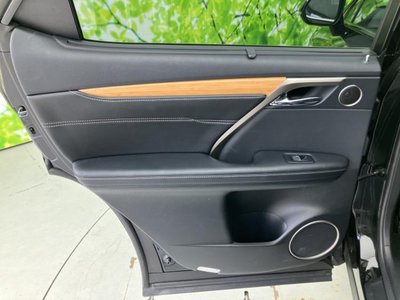 2019 Lexus RX thumbnail 25