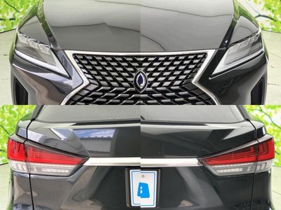 2019 Lexus RX thumbnail 54