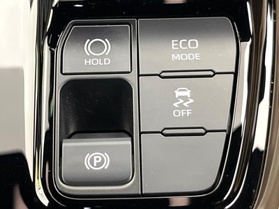 2025 Toyota ALPHARD 照片 67