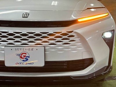 2025 Toyota CROWN ESTATE thumbnail 20