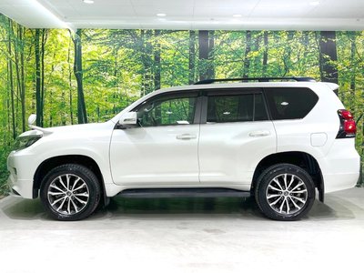 2018 Toyota LAND CRUISER PRADO — фото 70