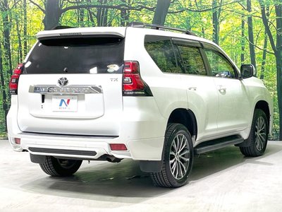 2018 Toyota LAND CRUISER PRADO — фото 18