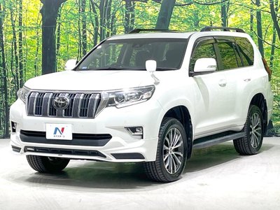 2018 Toyota LAND CRUISER PRADO — фото 17