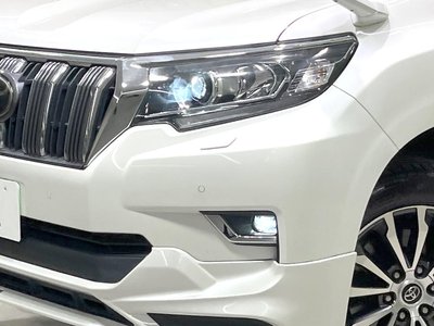 2018 Toyota LAND CRUISER PRADO — фото 13