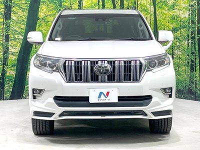2018 Toyota LAND CRUISER PRADO — фото 15