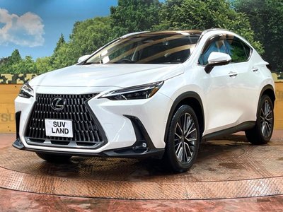 2024 Lexus NX — фото 16