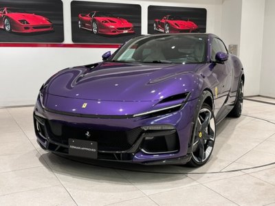 2025 Ferrari PUROSANGUE 缩略图 29