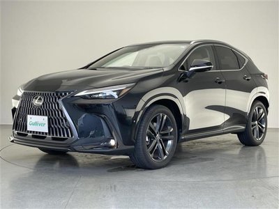 صورة 22 لـ 2025 Lexus NX